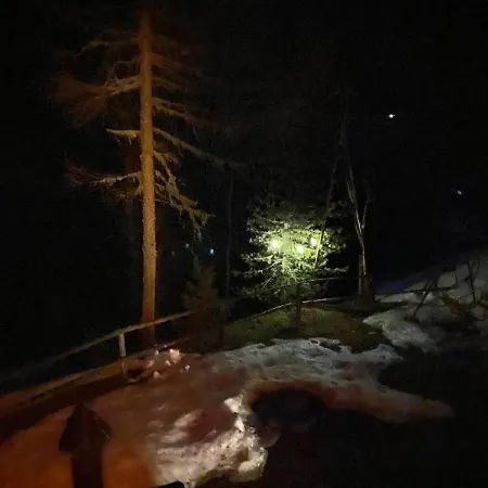 Σπίτι διακοπών Almhaus Zirbenheim Nicolina