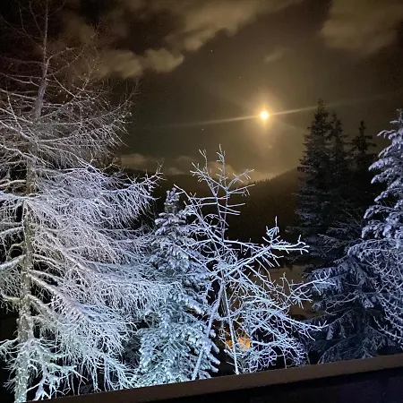 Almhaus Zirbenheim Nicolina *