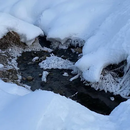 Almhaus Zirbenheim Nicolina Σπίτι διακοπών