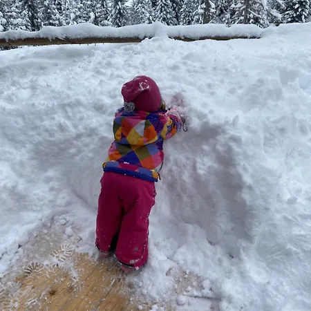 Almhaus Zirbenheim Nicolina Σπίτι διακοπών