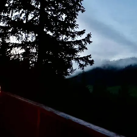 Almhaus Zirbenheim Nicolina * Flattnitz