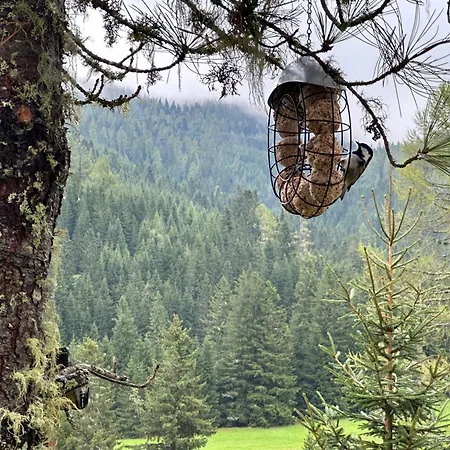 Almhaus Zirbenheim Nicolina *