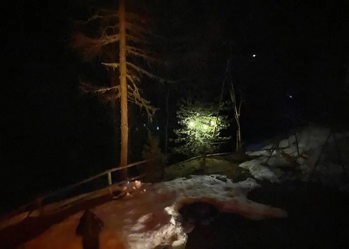 Ferienhaus Almhaus Zirbenheim Nicolina