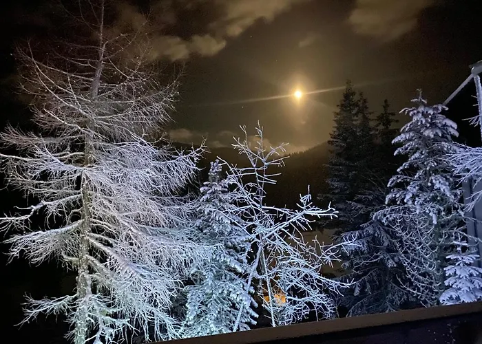 Almhaus Zirbenheim Nicolina *