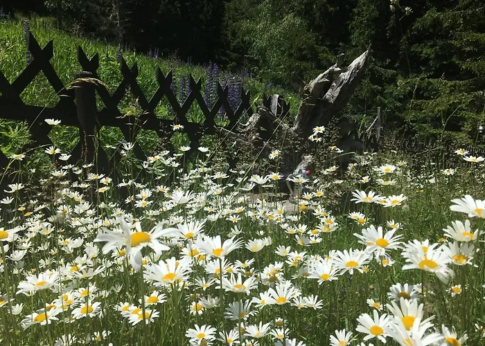 Almhaus Zirbenheim Nicolina Ferienhaus Flattnitz