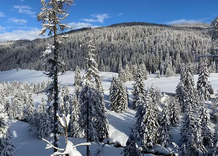 Almhaus Zirbenheim Nicolina