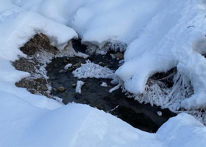 Almhaus Zirbenheim Nicolina 度假居