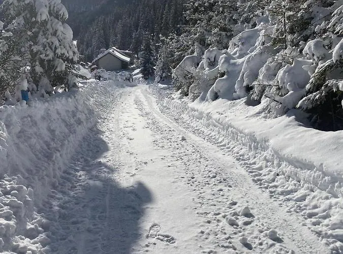 Ferienhaus Almhaus Zirbenheim Nicolina Flattnitz