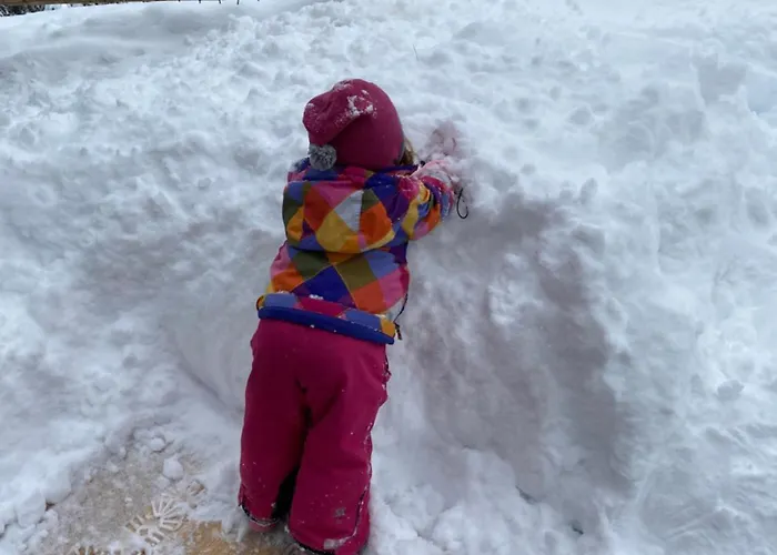 Almhaus Zirbenheim Nicolina Ferienhaus