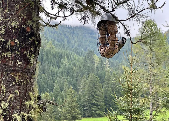 Almhaus Zirbenheim Nicolina *