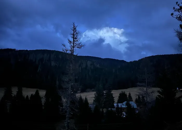 Almhaus Zirbenheim Nicolina *